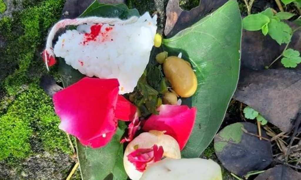 भक्तपुरका भ्यागुताहरूलाई आज भोज !