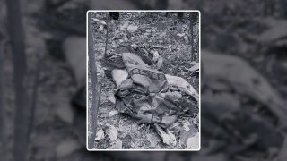 जंगली जनावरको आक्रमणबाट महिलाको मृत्यु, लतारिएको अवस्थामा शव फेला