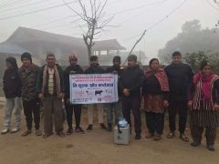 चन्द्रपुरका पशुमा खोरेतविरुद्धको खोप लगाउन थालियो