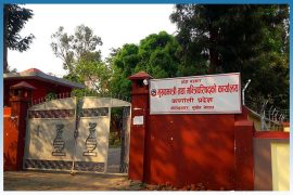 ऐन जारी भएको पाँच महिना नपुग्दै संशोधनको प्रक्रिया सुरु
