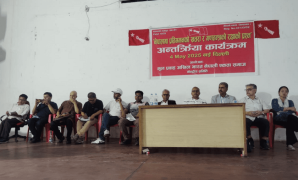 दलहरू सुध्रिएनन् भने निरङ्कुशता फर्किन सक्छ : पन्त