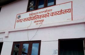१९ विपन्न परिवारलाई जस्तापाताको सहयोग