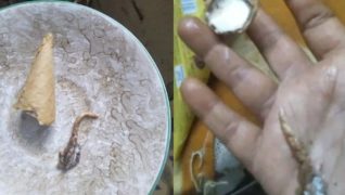 आइसक्रिमभित्र भेटियो माउसुली…