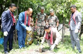 ग्लोबल आइएमई बैंकद्वारा विश्व वातावरण दिवसको अवसरमा देशव्यापी वृक्षारोपण कार्यक्रम आयोजना