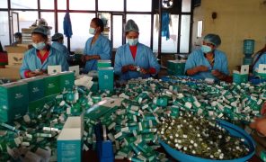 तीनकुने प्रदर्शनपछि तहसनहस भएको जडीबुटी कम्पनी पुनः तङ्रिदै