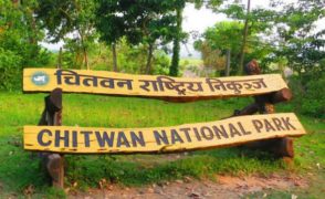 एक वर्षमा चितवन राष्ट्रिय निकुञ्जमा ८३ वन्यजन्तु मरे