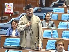 भिजिट भिसा प्रकरण: राप्रपाद्वारा छानबिन समिति गठनको प्रस्ताव