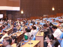 दुई विधेयक प्रतिनिधि सभामा पेस