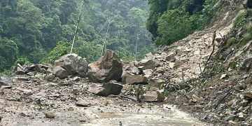 गुल्मी र पाल्पामा पहिरोले सडक अवरुद्ध