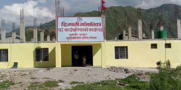 बाजुराको हिमाली गाउँपालिकाद्वारा जडीबुटीमा निगरानी