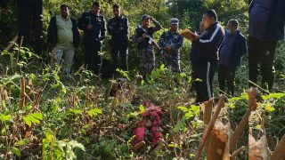 चितुवाले आक्रमण गर्दा एक महिलाको मृत्यु, दुई जनाले भागेर ज्यान बचाए