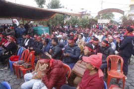 एमालेले गठन गर्‍यो युथ भोलेन्टियर फोर्स