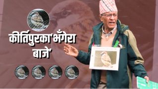 त्रिविका पूर्वकर्मचारी कसरी बने ‘भँगेरा बाजे’ ? ७० वर्षमा पनि संरक्षणको जोस
