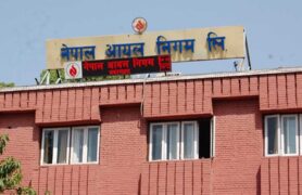पेट्रोल-डिजेलको मूल्य घट्यो, एलपी ग्याँसको बढ्यो