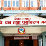 कस्तो छ रासायनिक मलको मौज्दात अवस्था ?