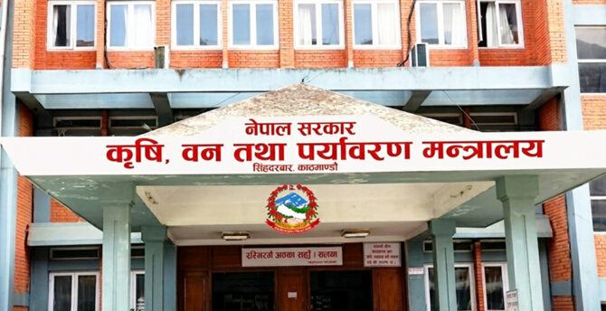 कस्तो छ रासायनिक मलको मौज्दात अवस्था ?