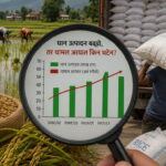 कागजी तथ्यांकमा धानको ‘रेकर्ड’ उत्पादन, चामल आयातमा ‘अर्बौं’को ग्राफ