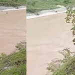 कर्णालीमा खस्यो यात्रुबाहक गाडी, उद्वार कार्य जारी
